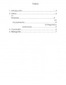 Informe: Reino Fungi