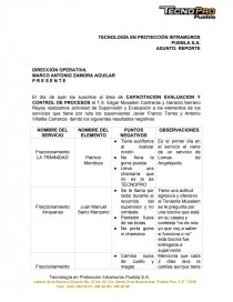 TECNOLOGÍA EN PROTECCIÓN INTRAMUROS PUEBLA S.A.. Página 1