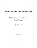 Ciencias Naturales - Fuerzas- 2° Ciclo