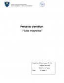 Proyecto científico: “Fluido magnético”