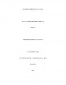 CENTRO DE DISEÑO Y METROLOGIA – SENA