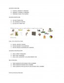 Prueba de ciencias naturales 2 basico