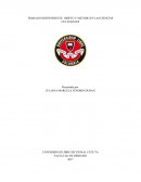 TRABAJO INDEPENDIENTE: OBJETO Y METODO EN LAS CIENCIAS CULTURALES