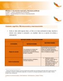 Andamio cognitivo: Microeconomía y macroeconomía