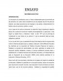 REFORMA EDUCATIVA ENSAYO