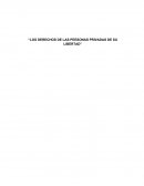 Los derechos de las personas privadas de su libertad