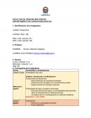 Cual es la Importancia de la energía en el funcionamiento celular