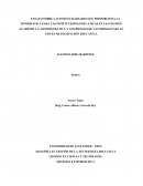 ENSAYO SOBRE LAS POTENCIALIDADES QUE PROPORCIONA LA INFORMÁTICA PARA LAS INSTITUCIONES EDUCATIVAS EN LAS GESTIÓN ACADÉMICA Y ADMINISTRATIVA Y LOS RIESGOS DE LAS MISMAS PARA SU USO EN MI INSTITUCIÓN EDUCATIVA.