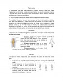 La planimetría nos sirve para estudiar el cuerpo humano