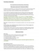 Breve reseña Histórica de la Kinesiología y la Posturología.