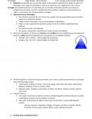 Actividad de español- etimologias