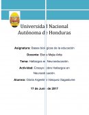 Cuales fueron los Factores endogenos y exogenos