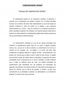 Cuales son las Causas del Calentamiento Global”.