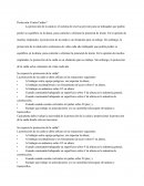 Protección Contra Caídas