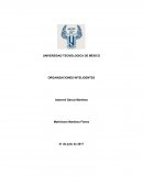 Un pequeño Ensayo de organizacones inteligentes