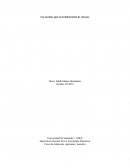 Cuales son las Las normas apa en la elaboración de ensayos