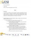 El desarrollo International Marketing/Mercadeo Internacional