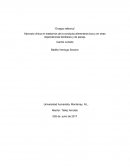 El nuevo Ensayo conferencia Camilo Loriedo