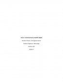 Cuales on los Instrumentos de medicion tarea 7 iacc