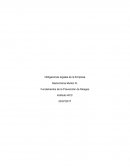 Tarea 3 fundamentos de la prevención de riesgos