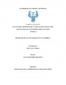 CUALES SON LOS BENEFICIOS DE LAS TECNOLOGIAS EN UNA EMPRESA