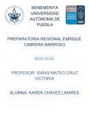 PREPARATORIA REGIONAL ENRIQUE CABRERA BARROSO