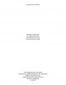 PROGRAMA ADMINISTRACION DE NEGOCIOS