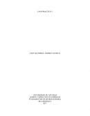 CASO PRACTICO 3 FUNDAMENTOS DE MICROECONOMIA