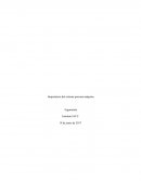 Importancia del sistema persona-máquina Ergonomía