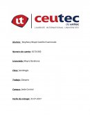 Sociología Glosario