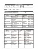 PLAN DE GESTIÓN DE RIESGOS