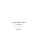 Entrenamiento en Habilidades de Liderazgo. Liderazgo y Trabajo en Equipo