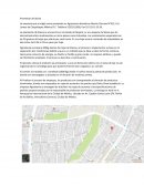 Productores de stevia en mexico