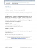 Actividad: Aspectos económicos de la seguridad