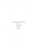 Estudio y Declaración de Impacto Ambiental