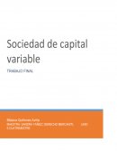 La gran Exposición de sociedad de capital variable