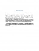 INFORME ADMINISTRACION DE RRHH.