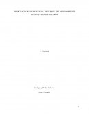 Un ensayo de musgos y el medio ambiente