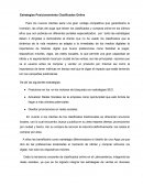 Estrategias Posicionamiento Clasificados Online