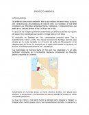 Proyecto de cuidado ambiental