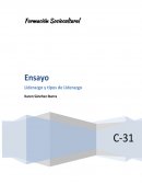 Ensayo Formación Sociocultural