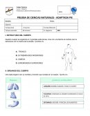 PRUEBA DE CIENCIAS NATURALES - ADAPTADA PIE