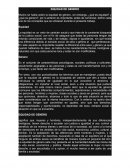 Ensayo EQUIDAD DE GENERO