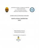 INFORME DE PRACTICA PROFESIONAL SUPERVISADA