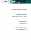 Evidencia del aprendizaje Planiación Estratégica