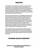 Sintesis de vida insitucional