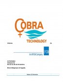 Informe de Actividades