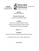 PROYECTO PLAN DE EXPORTACIÓN DE PANTALLAS PLANAS