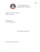 TEMA: CREACION DE USUARIO APEX.