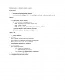 PPROGRAMAS A SER DESARROLLADOS: